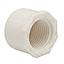 [1010] TAPON PVC ROSCADO 1-1/2